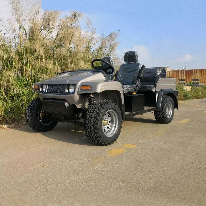 Pickup Électrique Tout-Terrain