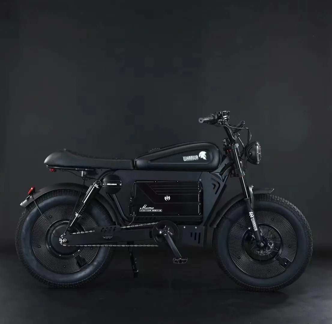 Vélo Électrique