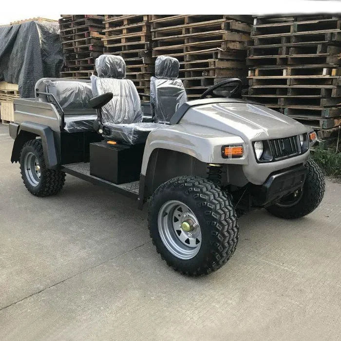 Pickup Électrique Tout-Terrain