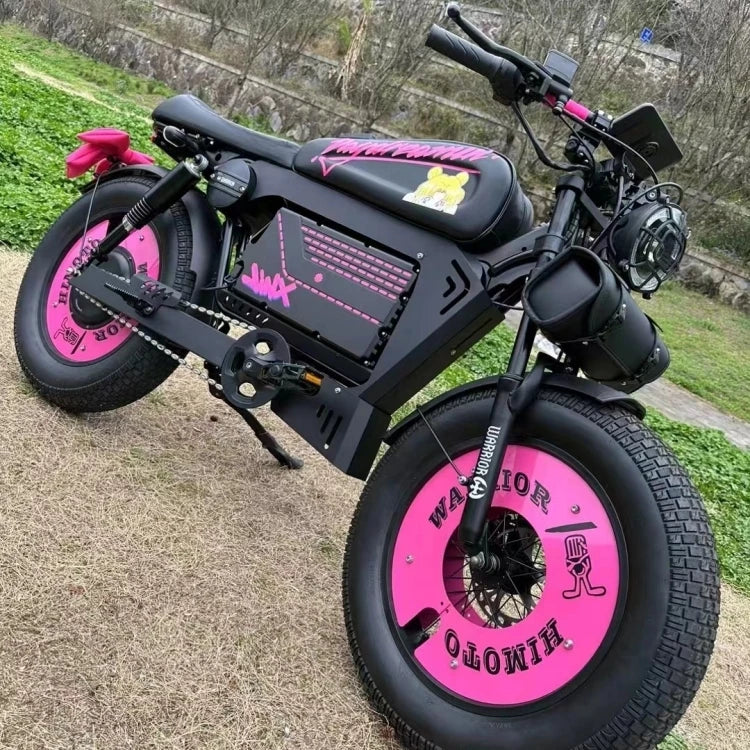 Vélo Électrique