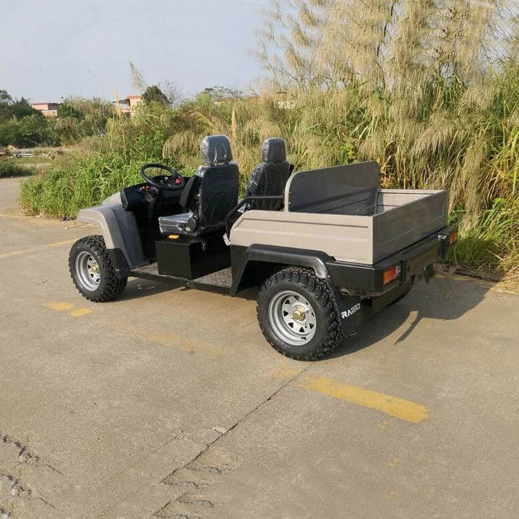 Pickup Électrique Tout-Terrain