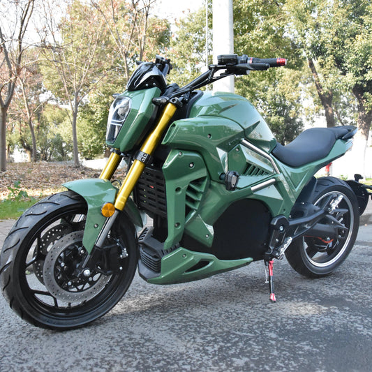 Moto Électrique Adulte 2000W-10000W - Moteur Haute Performance Personnalisable