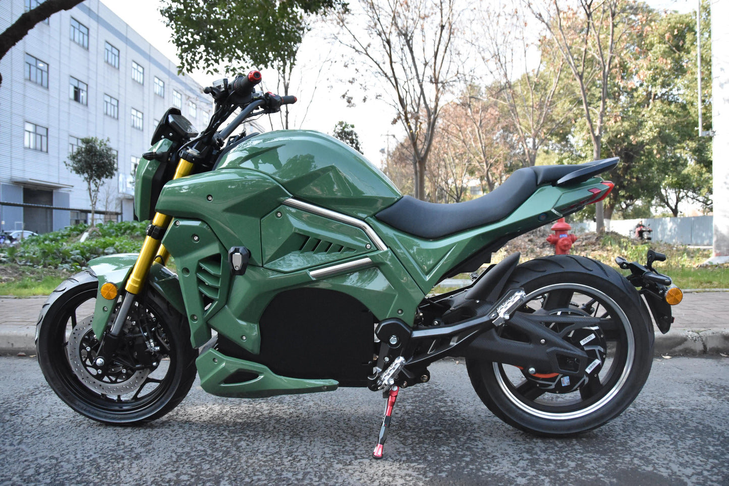 Moto Électrique Adulte 2000W-10000W - Moteur Haute Performance Personnalisable