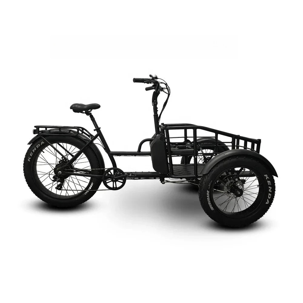 Tricycle Électrique Cargo 500W - Vélo 3 Roues avec Batterie Lithium