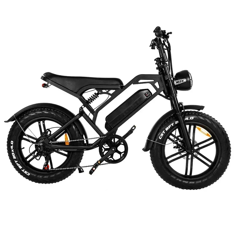 Vélo Électrique VTT 1000W V20 - E-Bike Tout-Terrain Pneus Larges 35kg