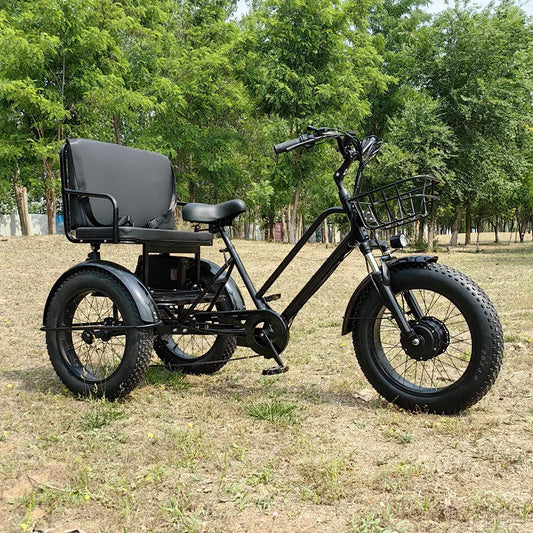 Tricycle Électrique 48V 500W avec Banc Arrière - Pneus Larges 3 Roues pour Adultes