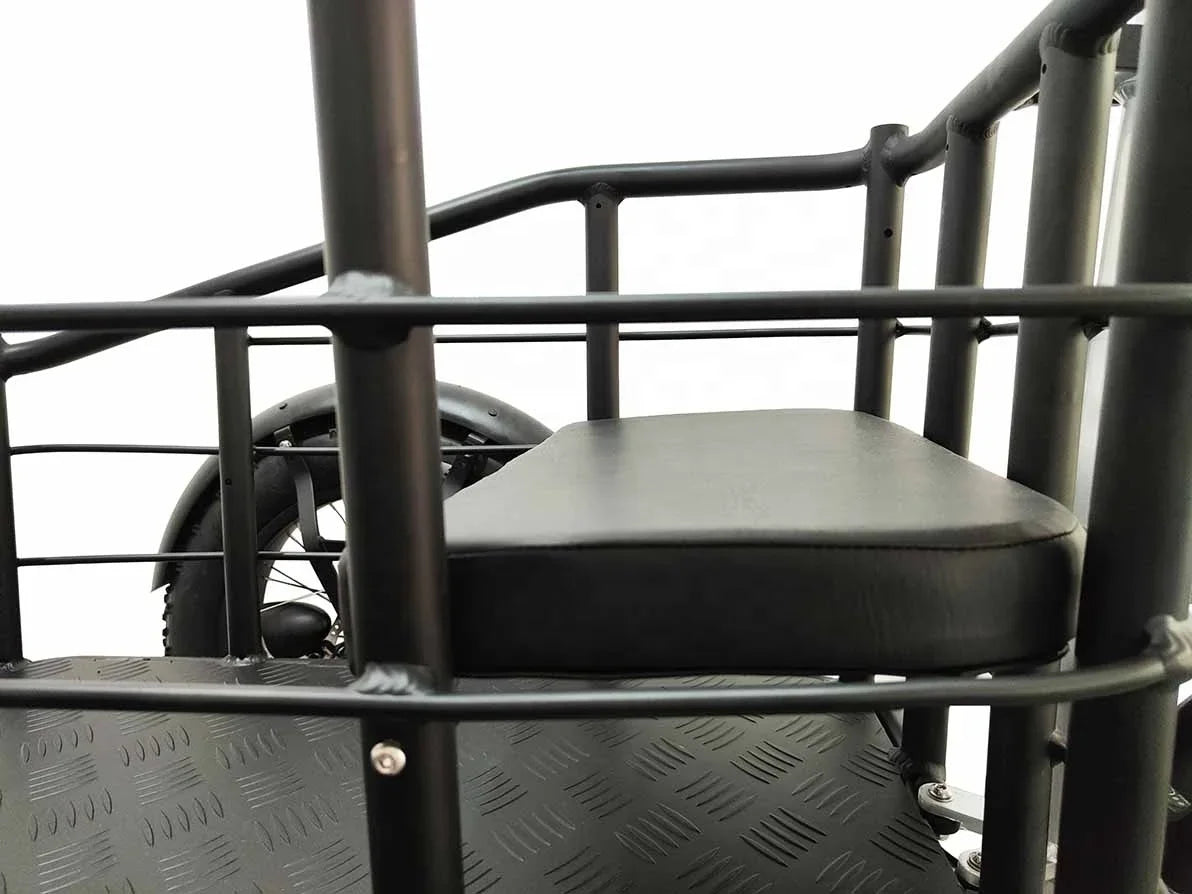 Tricycle Électrique Cargo 500W - Vélo 3 Roues avec Batterie Lithium