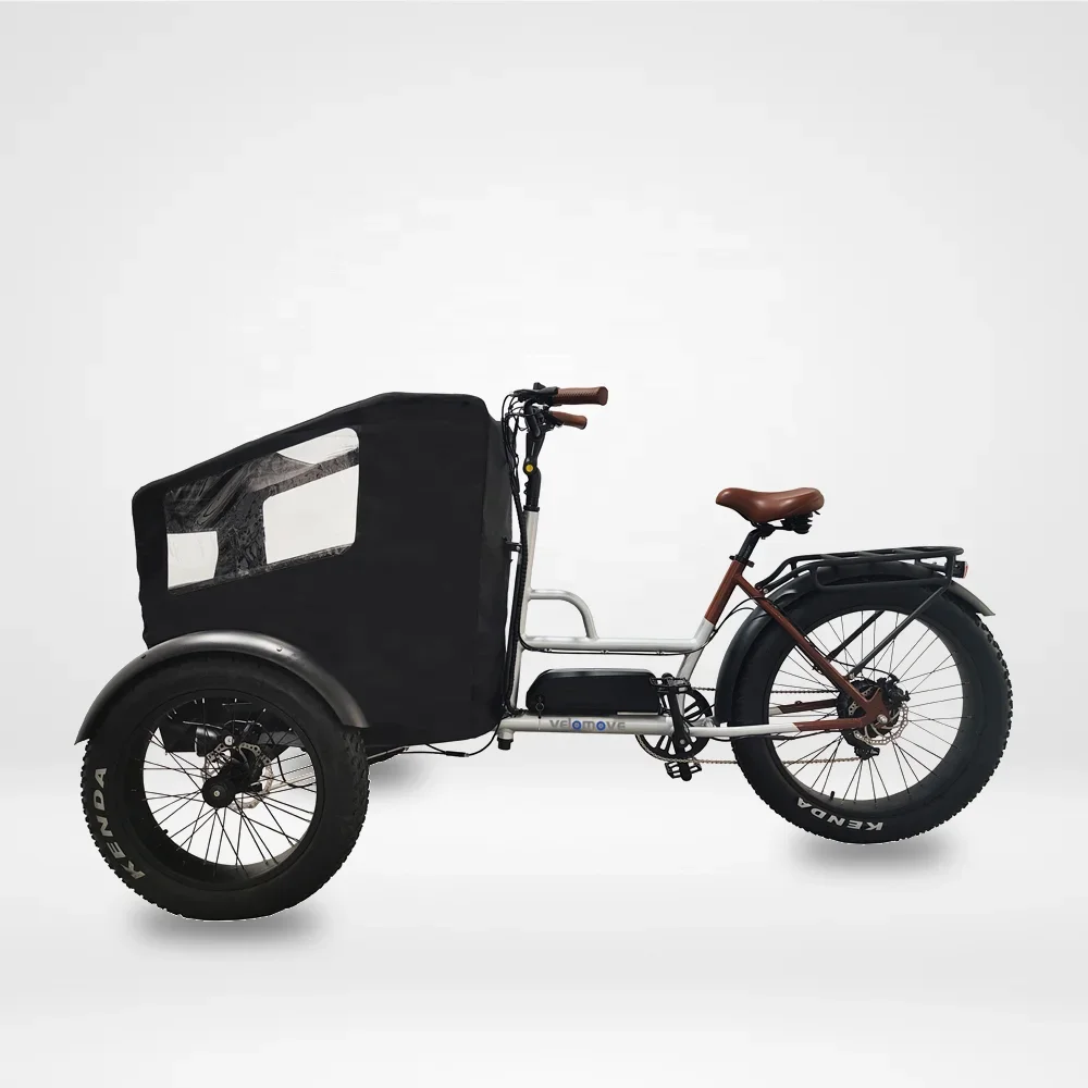 Tricycle Électrique Cargo 500W - Vélo 3 Roues avec Batterie Lithium