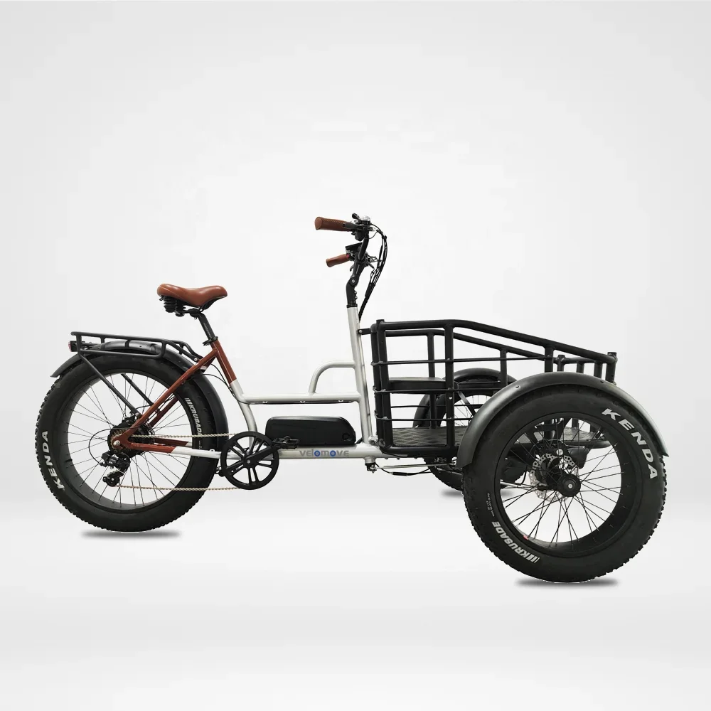 Tricycle Électrique Cargo 500W - Vélo 3 Roues avec Batterie Lithium