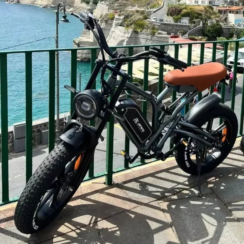 Vélo Électrique Jansno X50 750W - Pneus Larges 20 Pouces